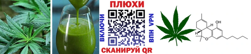 Купить закладки  Советская Гавань  Cannafood конопля 