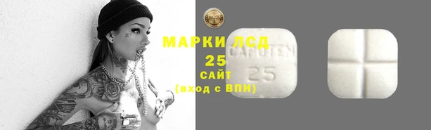 мяу мяу мука Михайлов