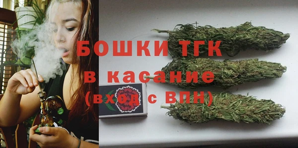 мяу мяу мука Михайлов