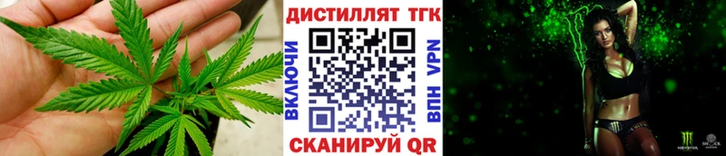 Купить где  Советская Гавань  ТГК концентрат 