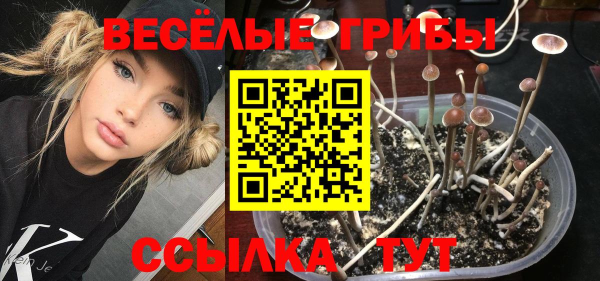 Псилоцибиновые грибы MAGIC MUSHROOMS Советская Гавань