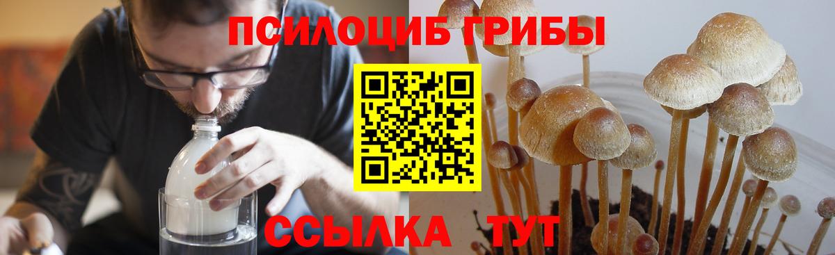 Советская Гавань  Галлюциногенные грибы мухоморы  где продают   Вход с VPN 